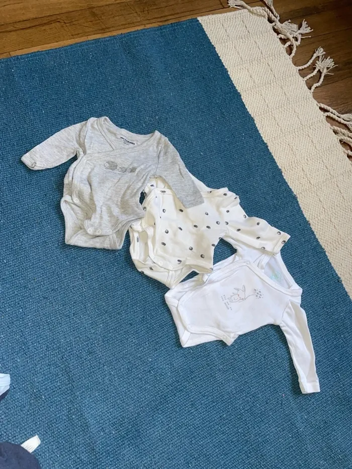 Lot 3 bodies