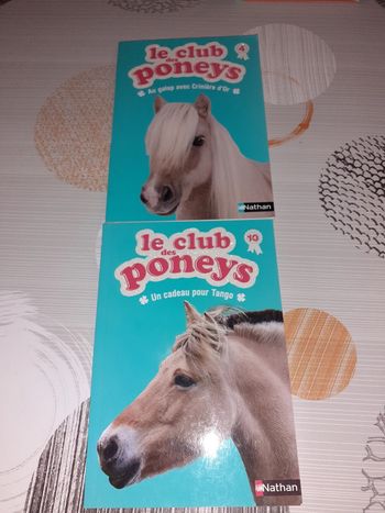Lot 2 le clun des poneys