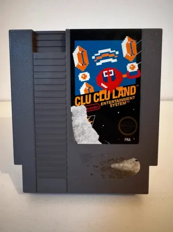 jeu Nintendo NES Clu clu Land