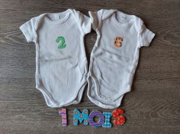 Lot de 2 bodies manches courtes