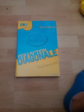 Guide du maître Diagonale CM2 Nathan