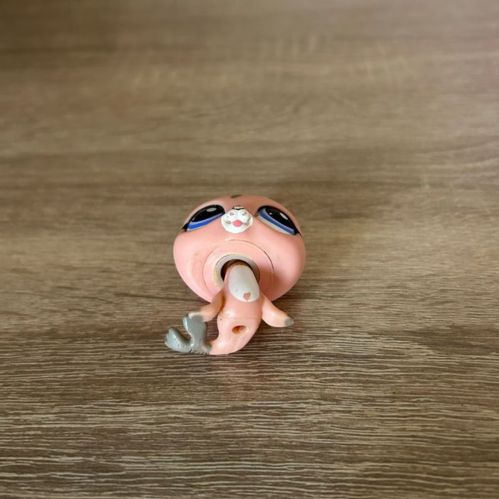 Petshop Otarie #1526 - photo numéro 2