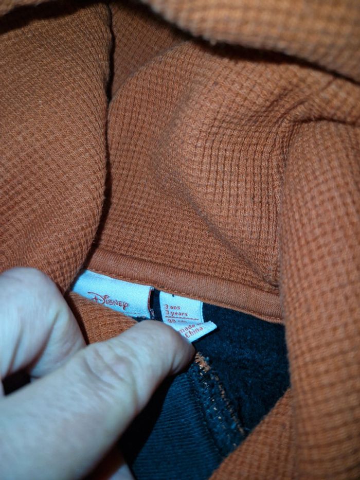 Pull sweat capuche tigrou 3 ans - photo numéro 4
