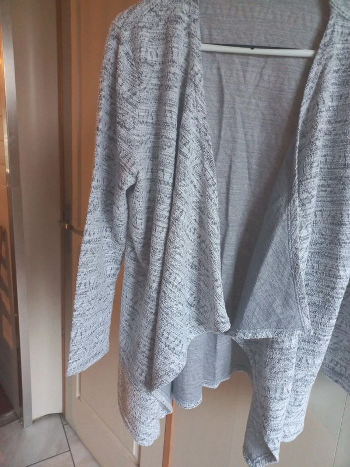 veste grise - photo numéro 2