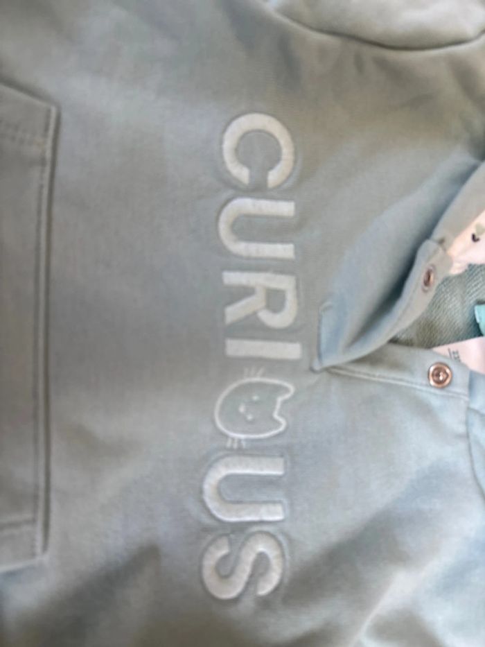 Sweat, à capuche, Obaïbi, 23 mois - photo numéro 3