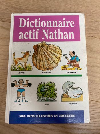 Livre dictionnaire actif Nathan