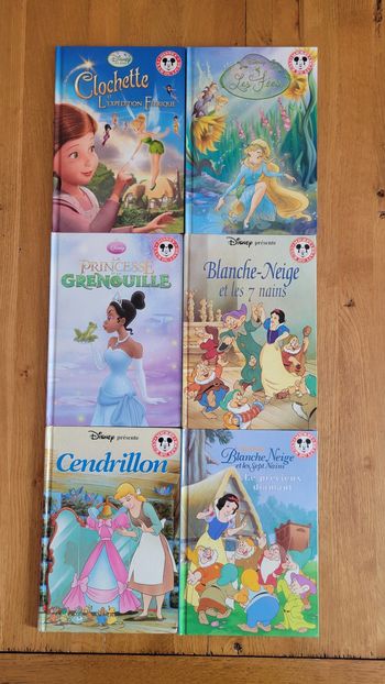 Lot livres Disney: Princesse et grenouille, Clochette, les Fées, Cendrillon, Blanche neige 1 et 2