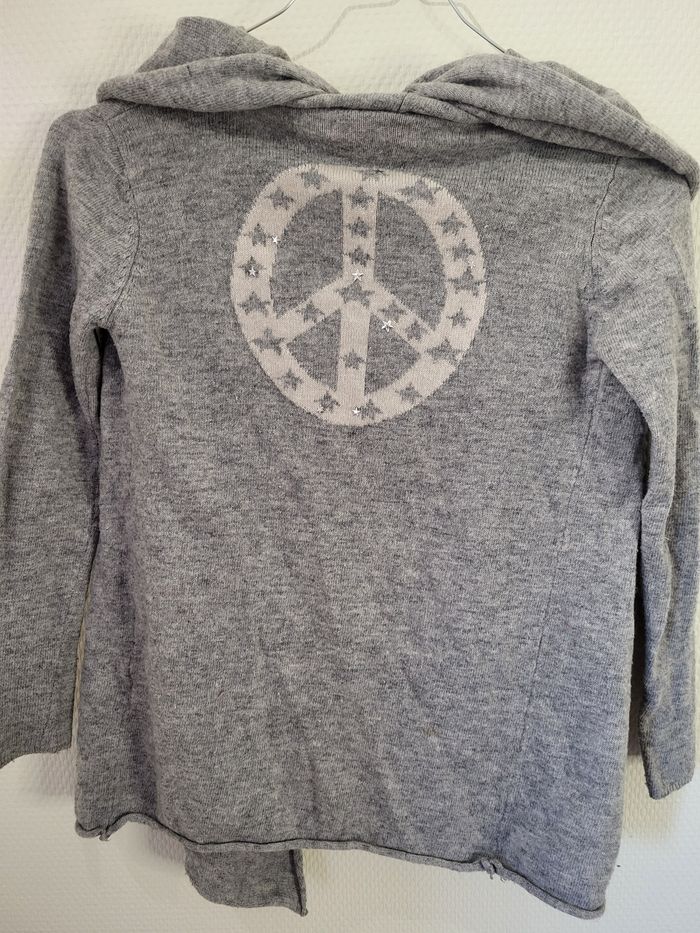 Gilet a capuche - photo numéro 3