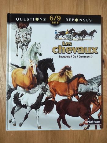 Les chevaux questions réponses 6/9 ans