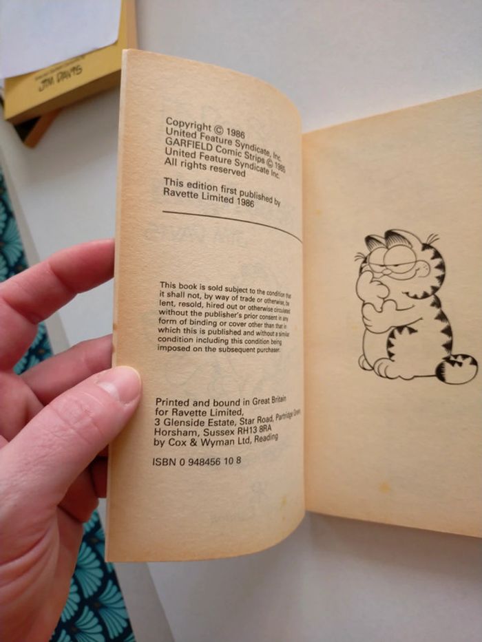 Garfield here we go again - photo numéro 10