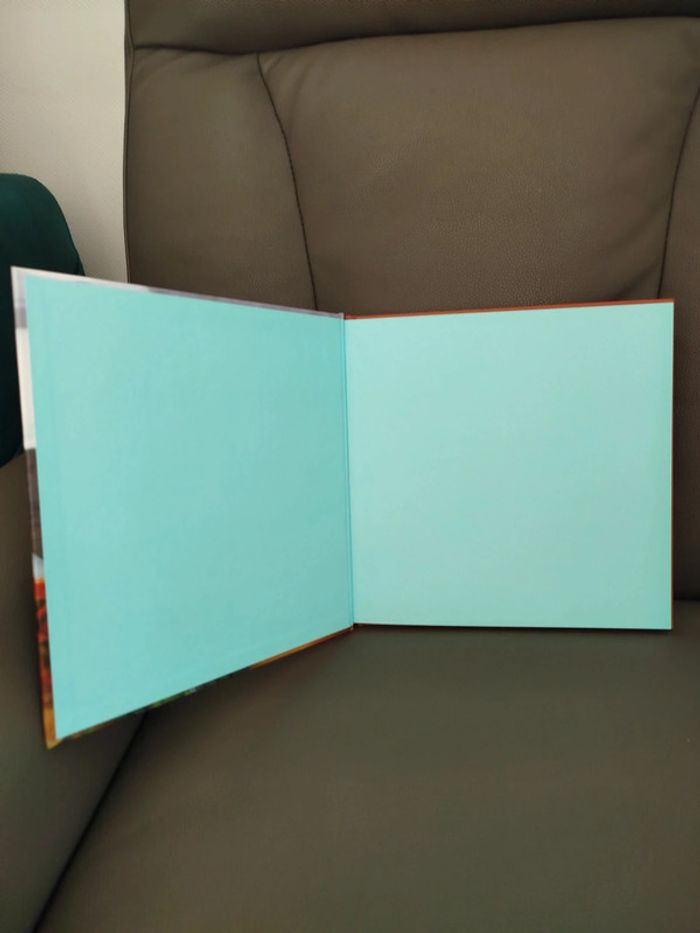 Livre de cuisine comme neuf Les croustillants - photo numéro 2