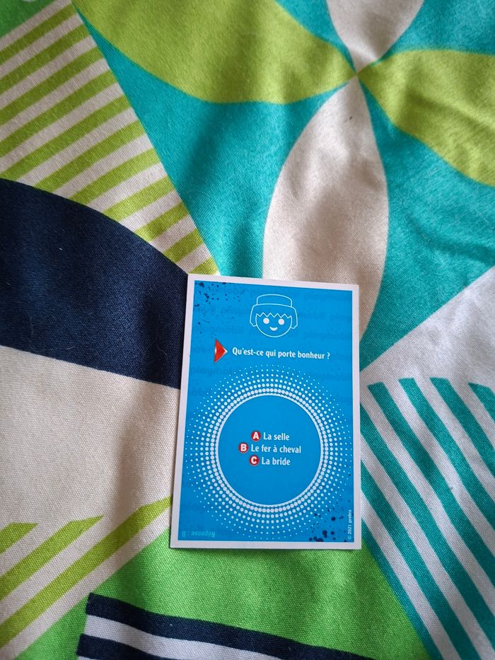 Carte playmobil rafting 51 - photo numéro 2