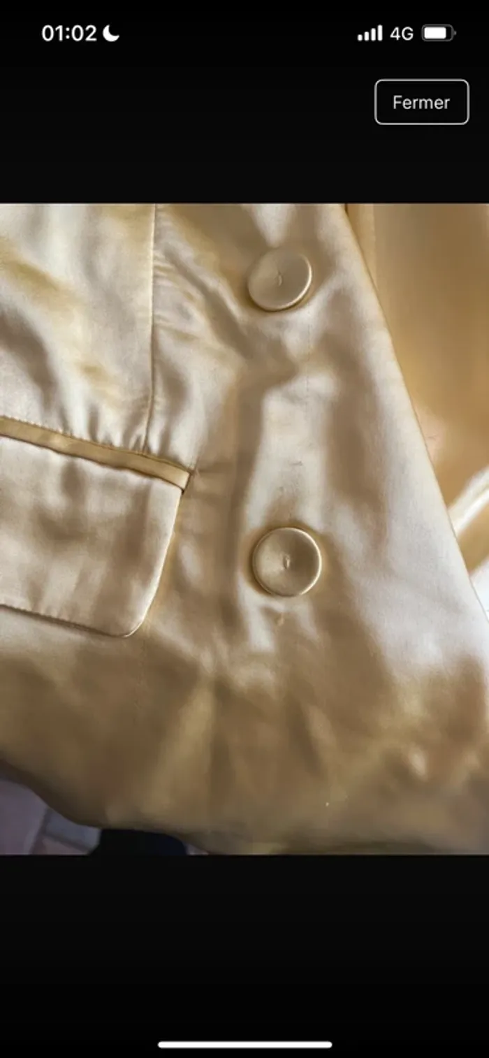 Blazer - photo numéro 4
