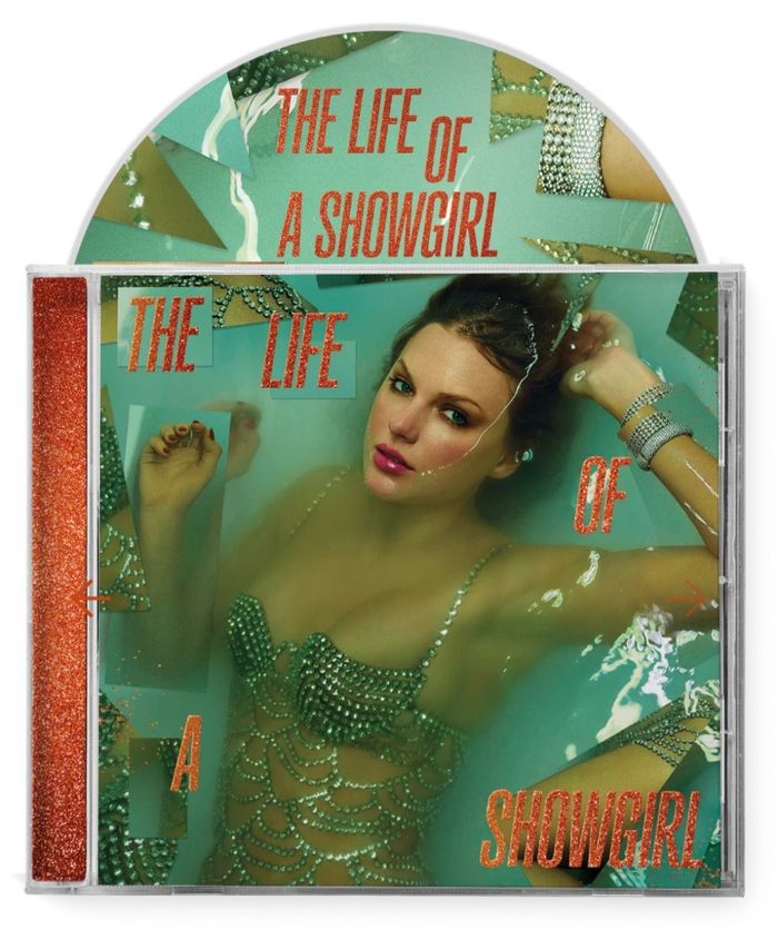 Coffret Cardigan Taylor Swift XS/S + album The life of a showgirl + boite pailletée - photo numéro 7