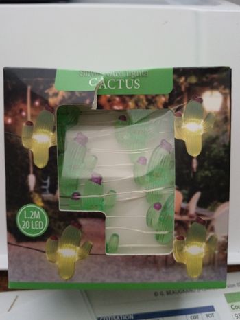 Guirlande cactus 2m 