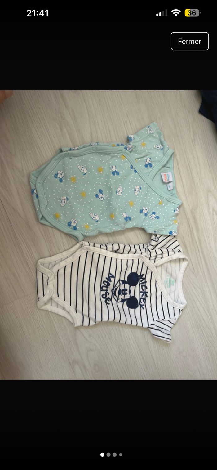 Lot 2 bodies Mickey