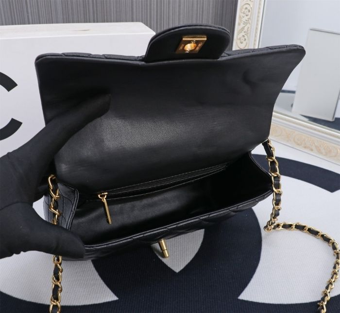 Chane1 8868 - photo numéro 9