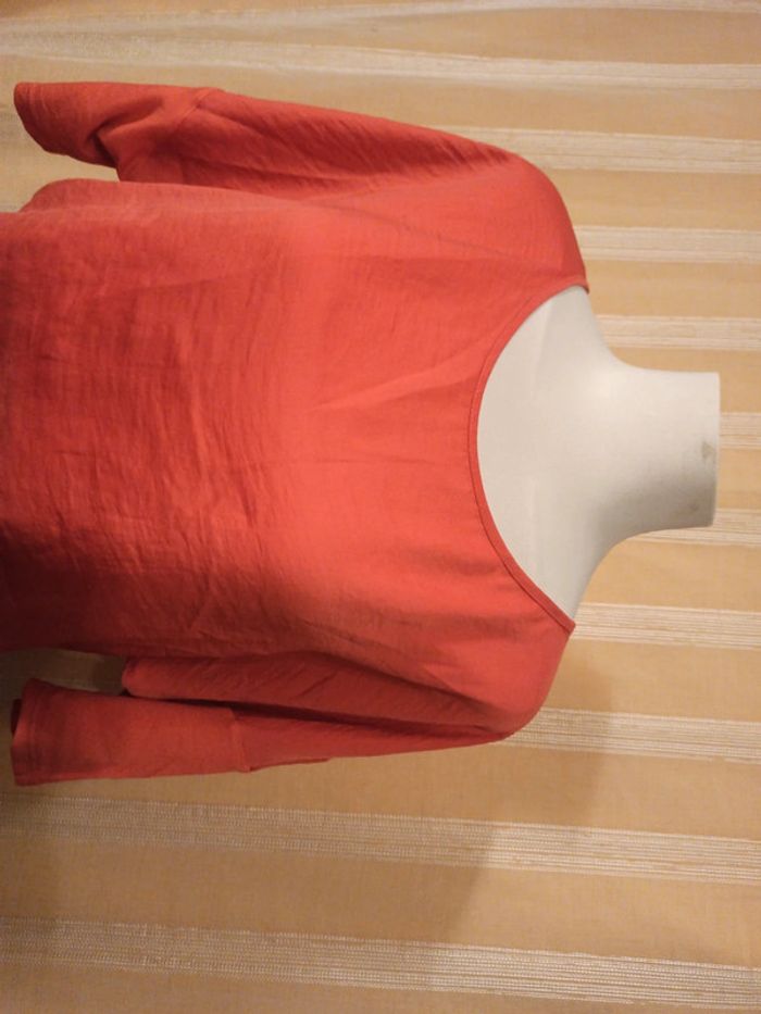 Tee-shirts - photo numéro 3