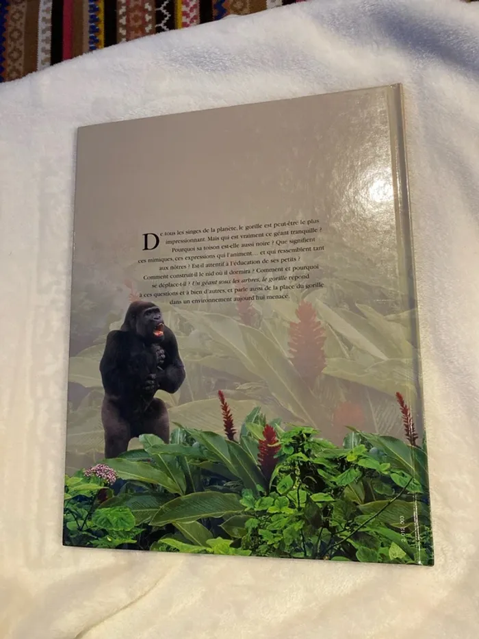 Un géant sous les arbres, le gorille atlas junior - photo numéro 2