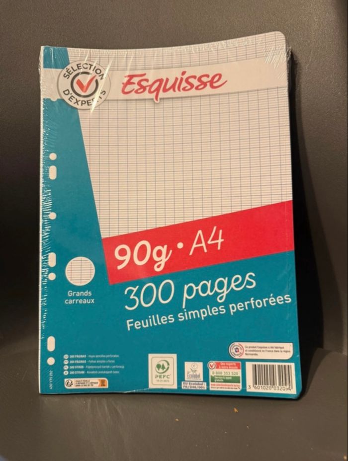 Lot de feuilles simples et doubles - photo numéro 3