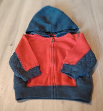 Gilet 