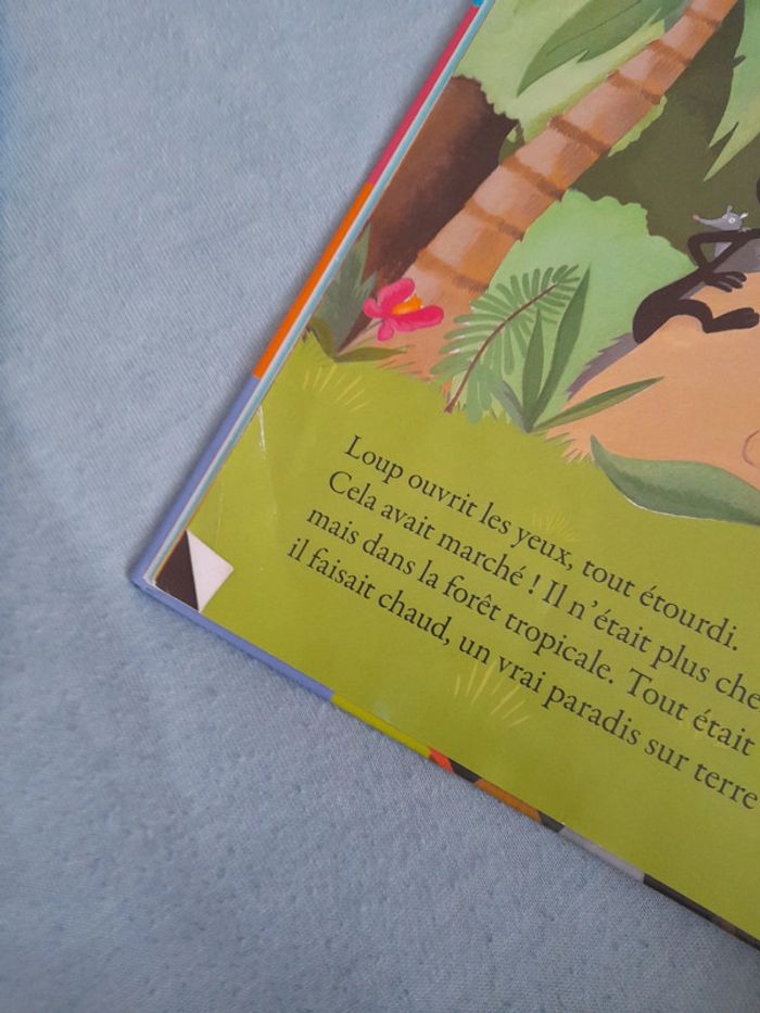 Livres mes histoires de loup - photo numéro 8