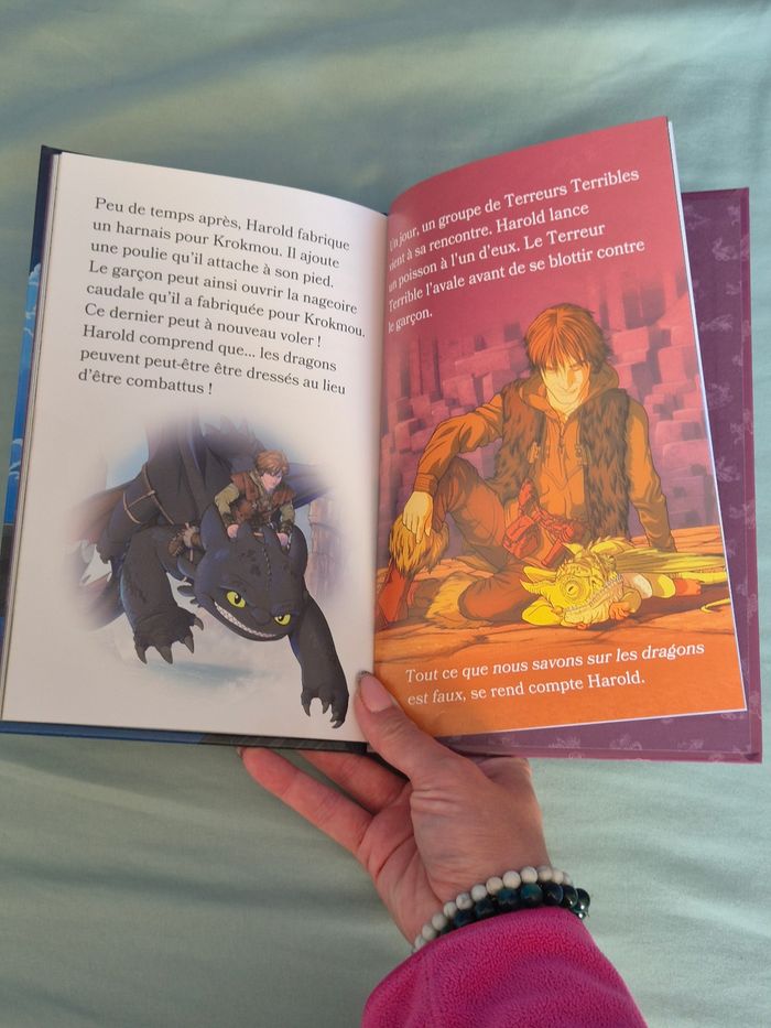 Dragons - La Naissance d'une Amitié 🐲🧒 - photo numéro 4
