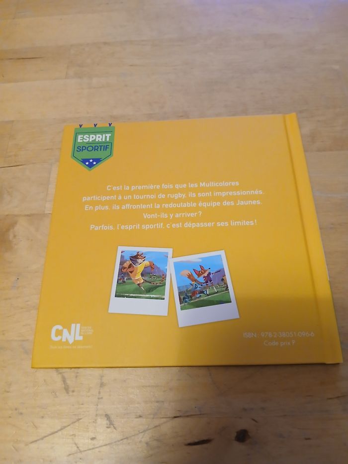 Le match de rugby - photo numéro 2