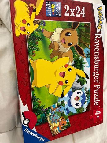 Puzzle Pokémon