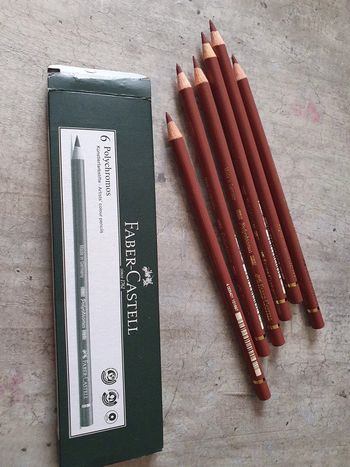 Boîte Crayon de couleur Polychromos 169 faber castell