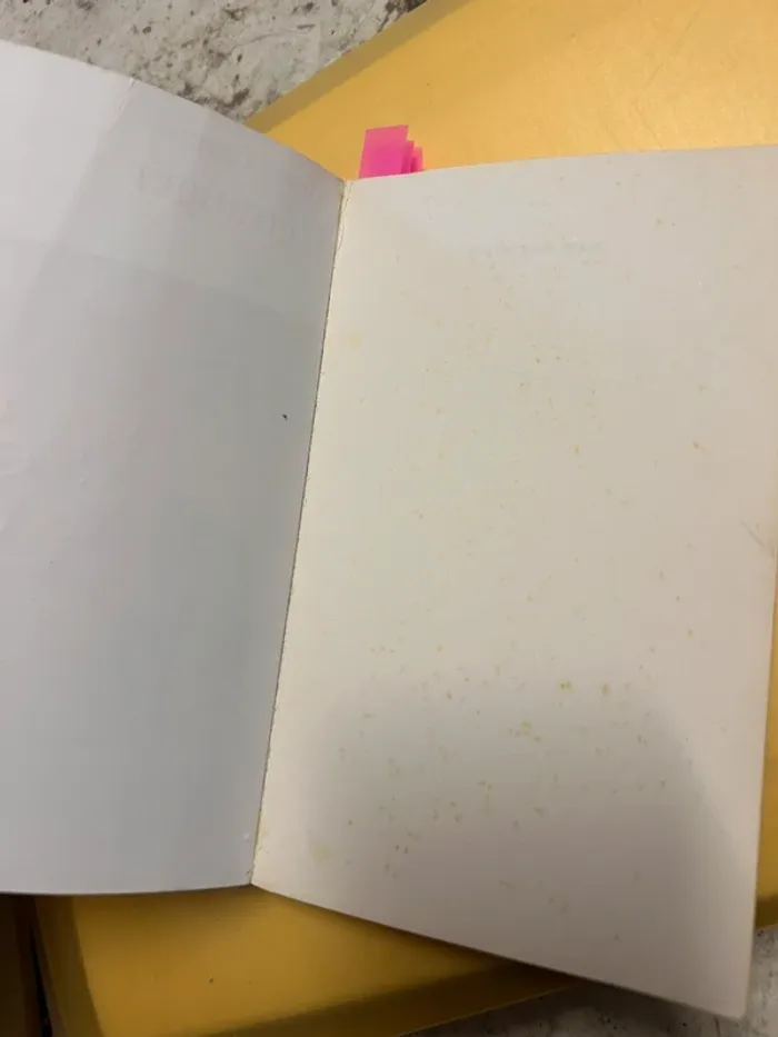 L’étranger Albert Camus - photo numéro 4