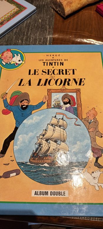 Album double tintin
