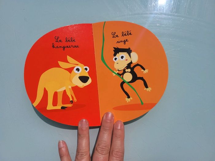 Livre surprise grand format 🦘 Coucou Kangourou ! 🦘 éditions langue de chat - photo numéro 10