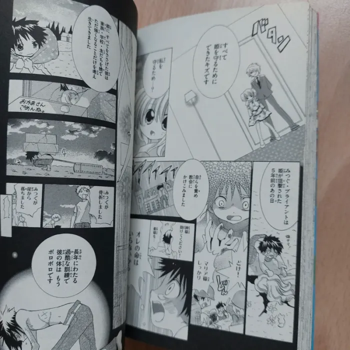 Manga gyu to mamotte - photo numéro 2