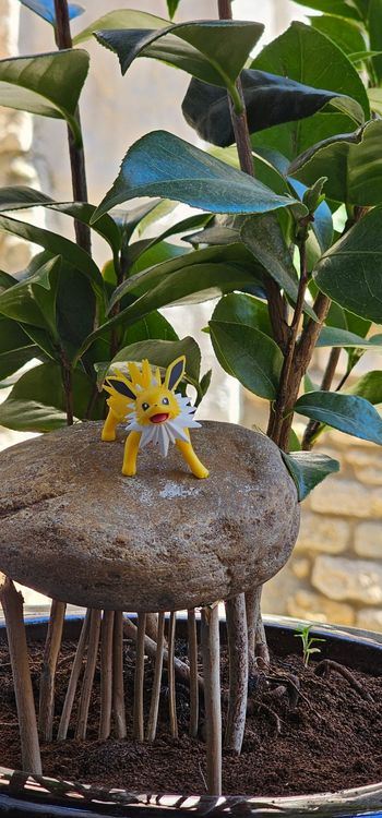 Super figurine Pokemon Nintendo scale world Voltali 