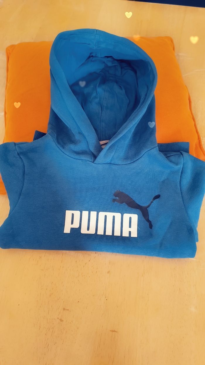 Pull puma - photo numéro 3