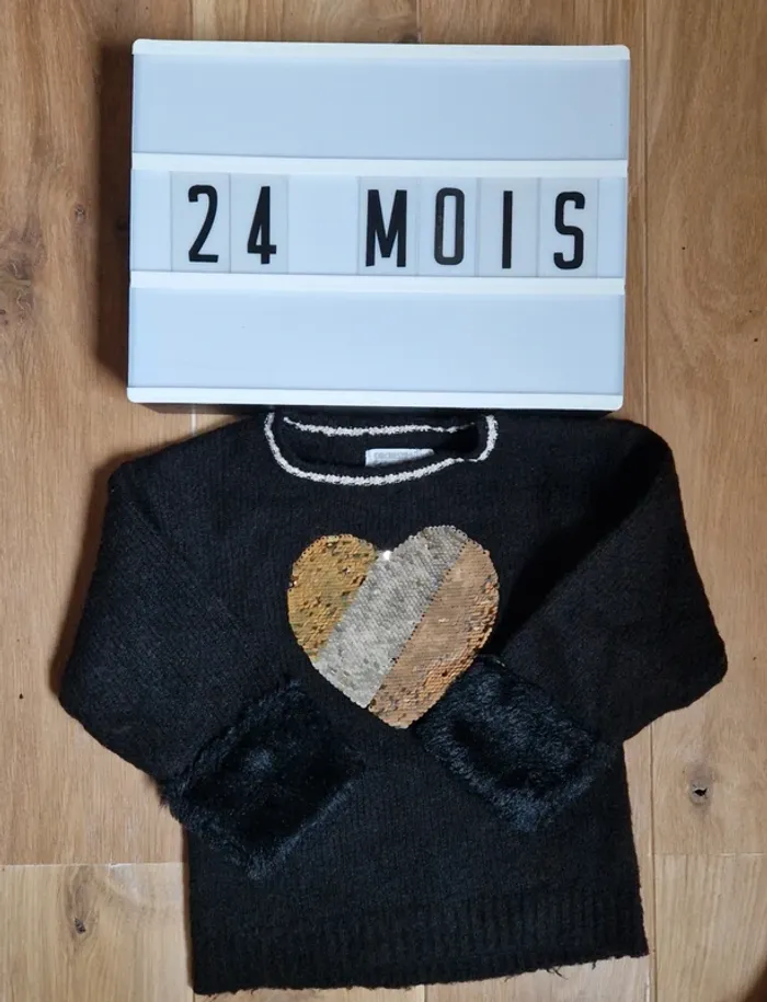 Lot de 2 pulls - photo numéro 2