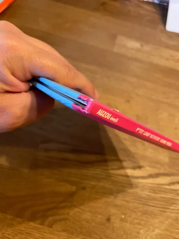 Livre P’tit Loup devient grand frère - photo numéro 11