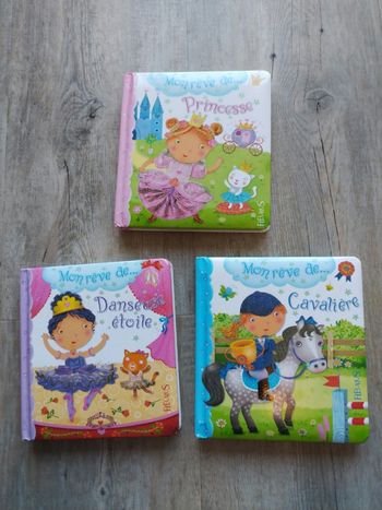 Lot dd 3 livres cartonnés 
