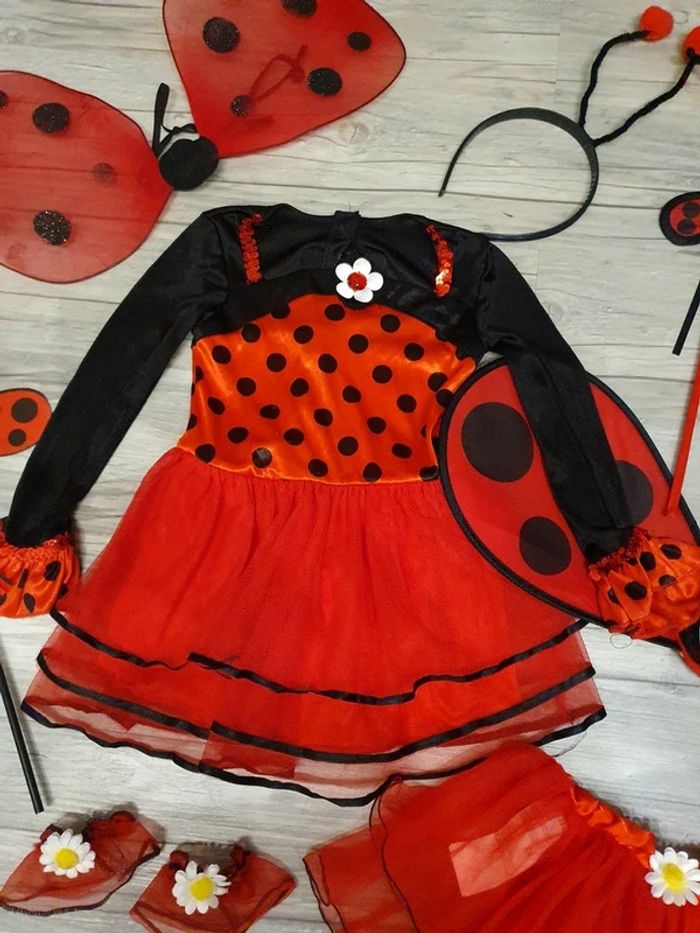 Ensemble déguisement coccinelle + reine des neiges 24/36 mois - photo numéro 3