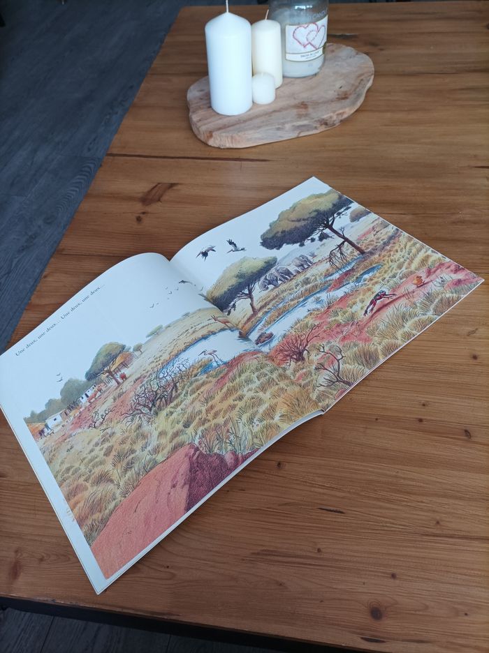 Livre - photo numéro 2