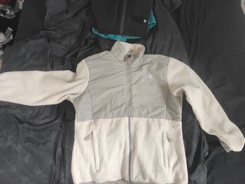 Veste polaire North face 