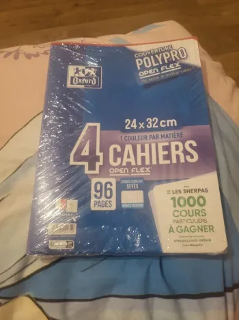 Lot 4 cahiers oxford open flex 24x32