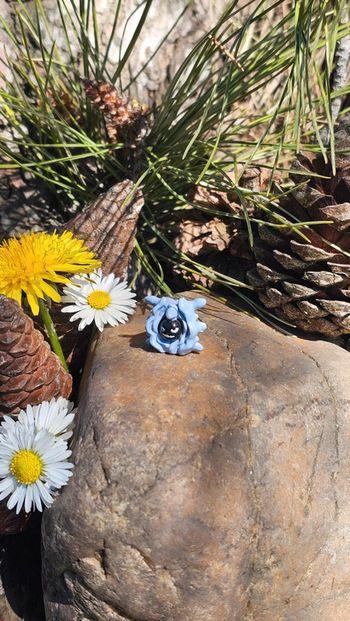 Super petite figurine Pokemon Nintendo krustabri