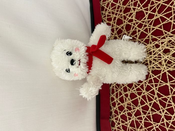 DOUDOU PELUCHE EDITIONS AUZOU OURS BLANC ECHARPE ROUGE 20cm - photo numéro 4
