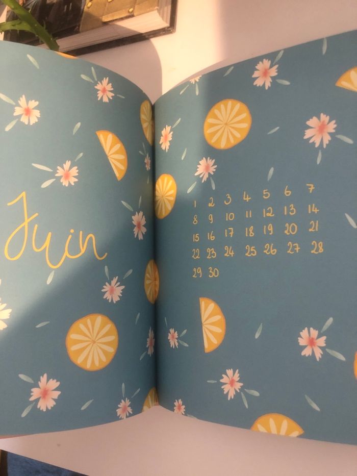 Léa Choue présente Dear me - Mon journal à remplir - photo numéro 3
