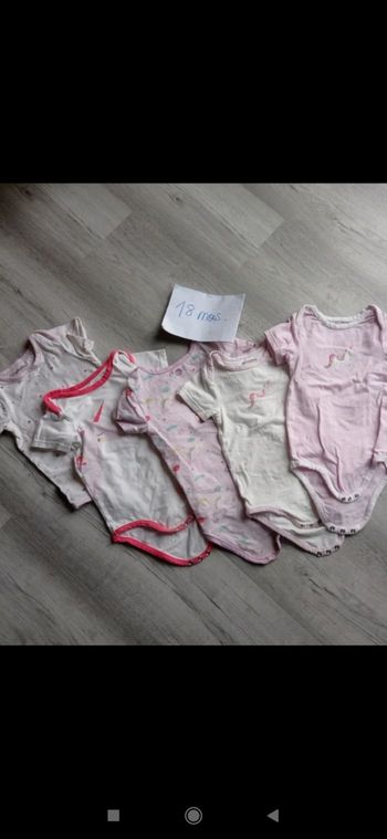 Lot 5 bodies 18mois