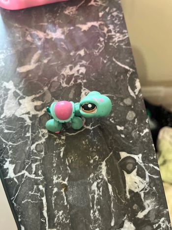 LPS turtle