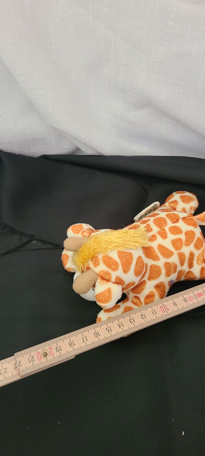 Nature planète girafe - photo numéro 4