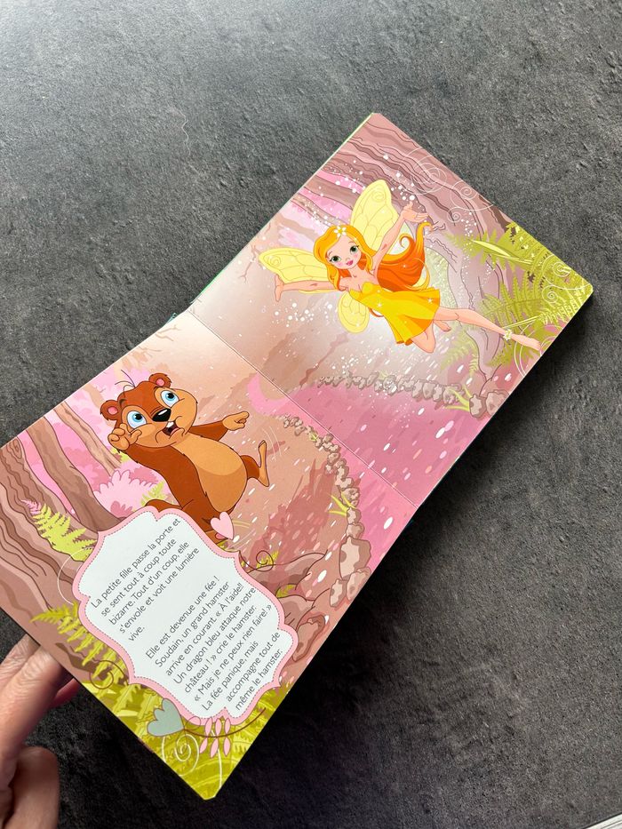Livre la princesse au royaume des fées - photo numéro 5
